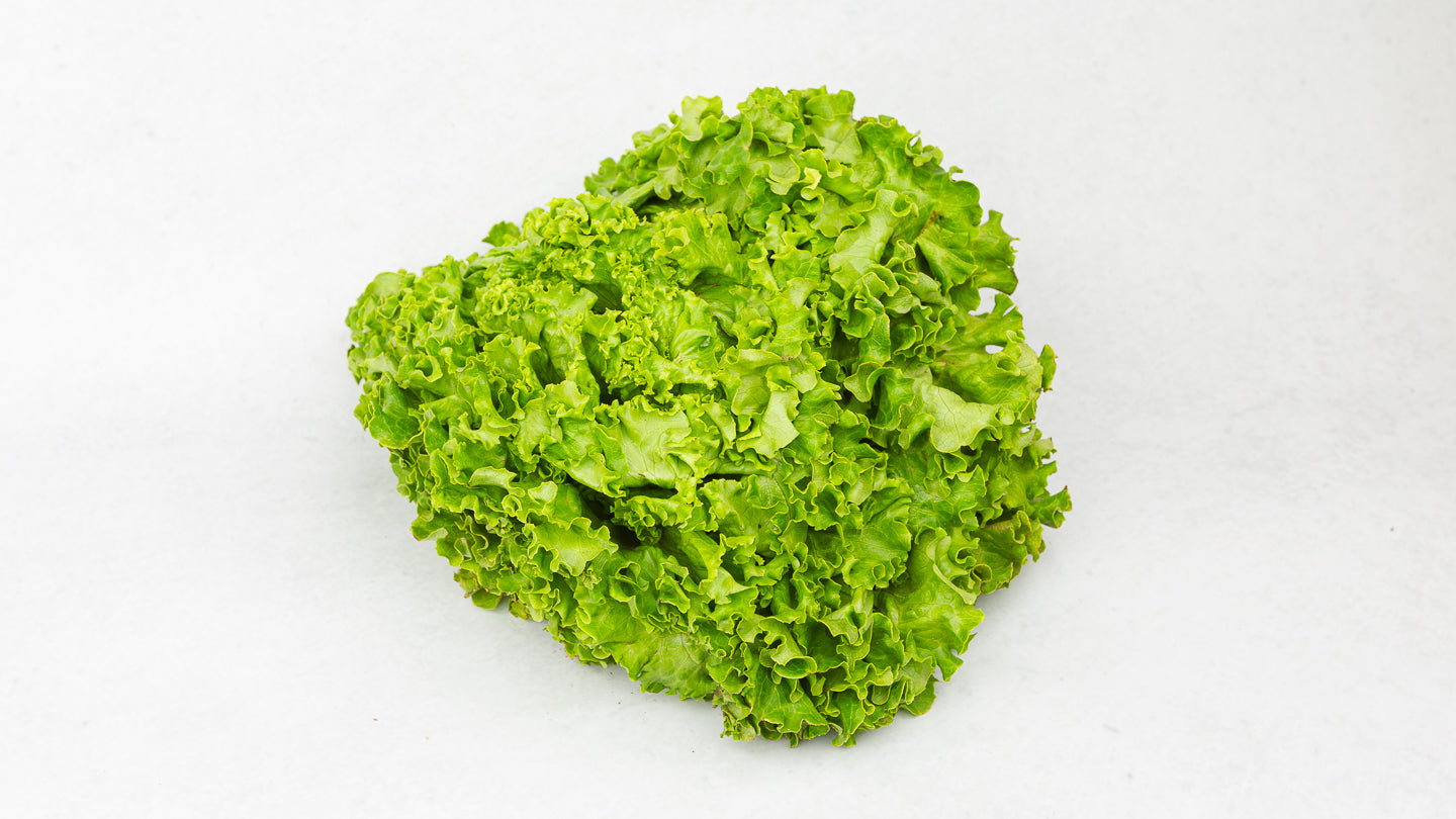 Biohof - Bio batavia solata 1 glava