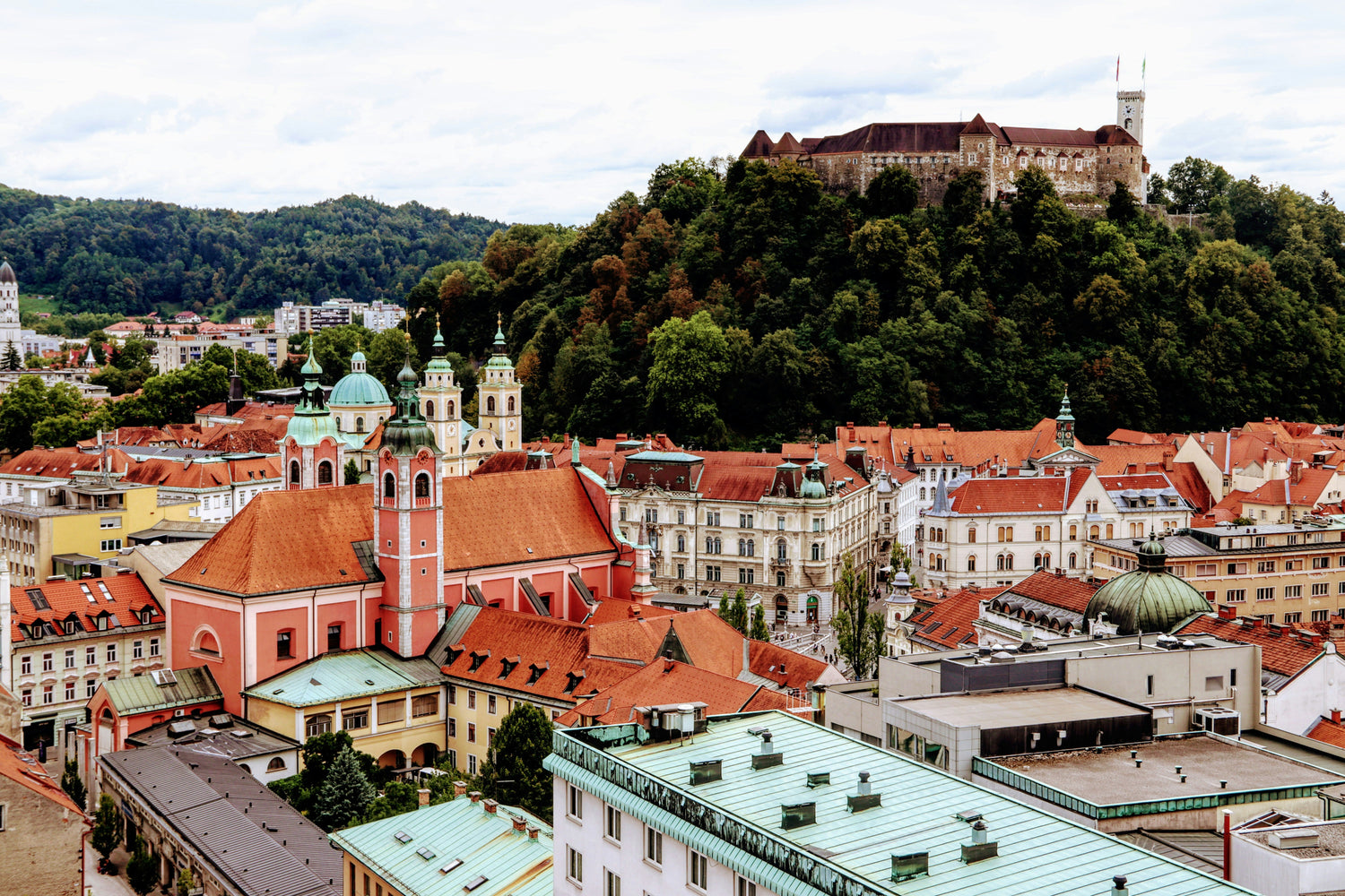 Dostava samo v Ljubljani